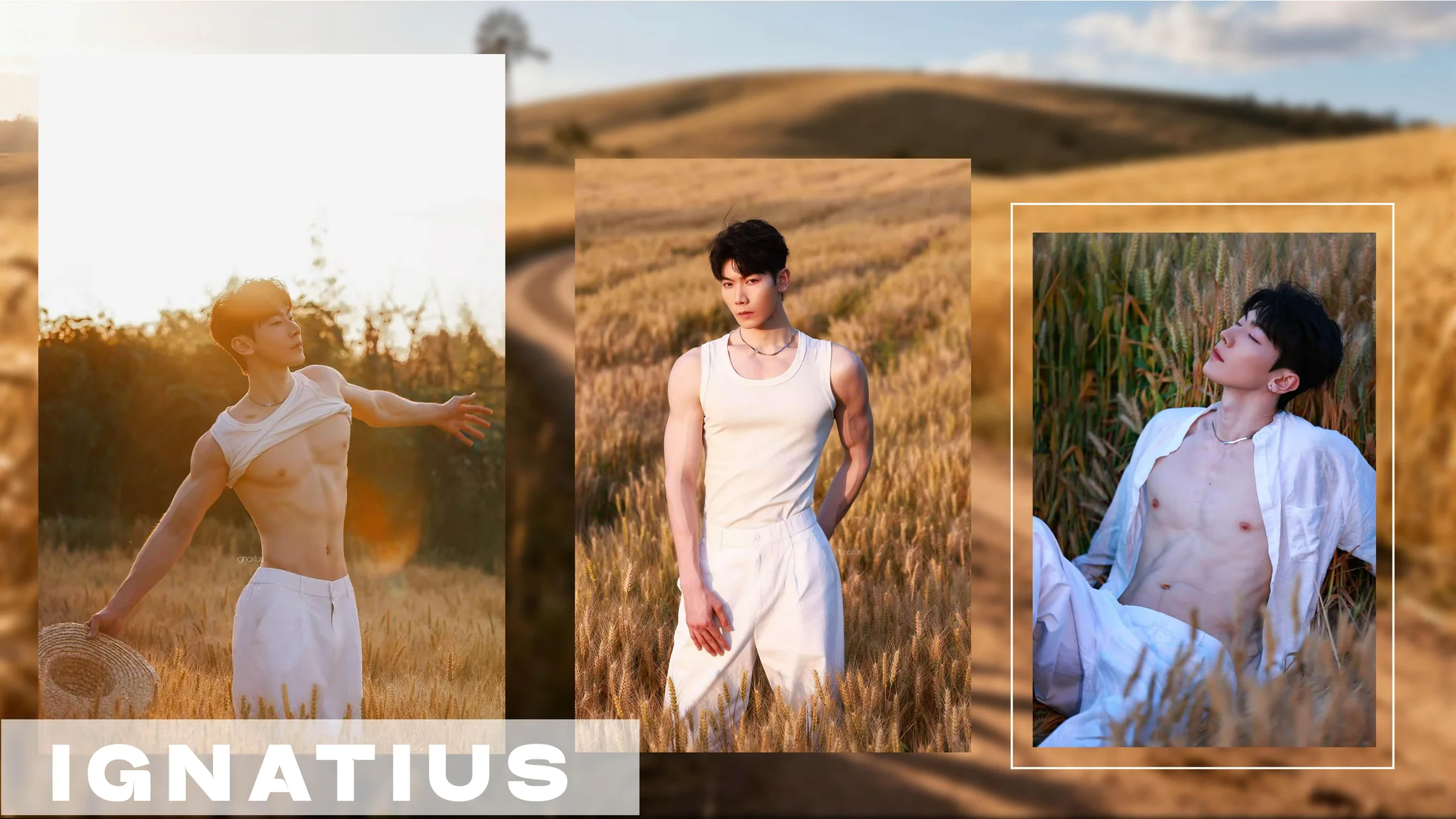 IGNATIUS Field Editorial 项目作品
